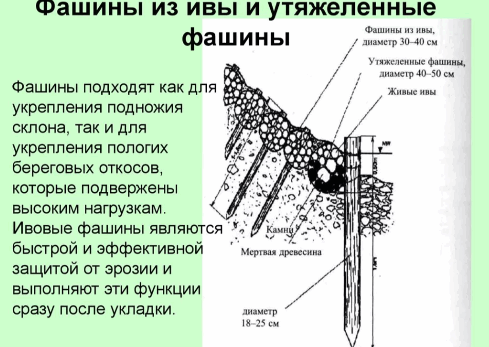Фашины